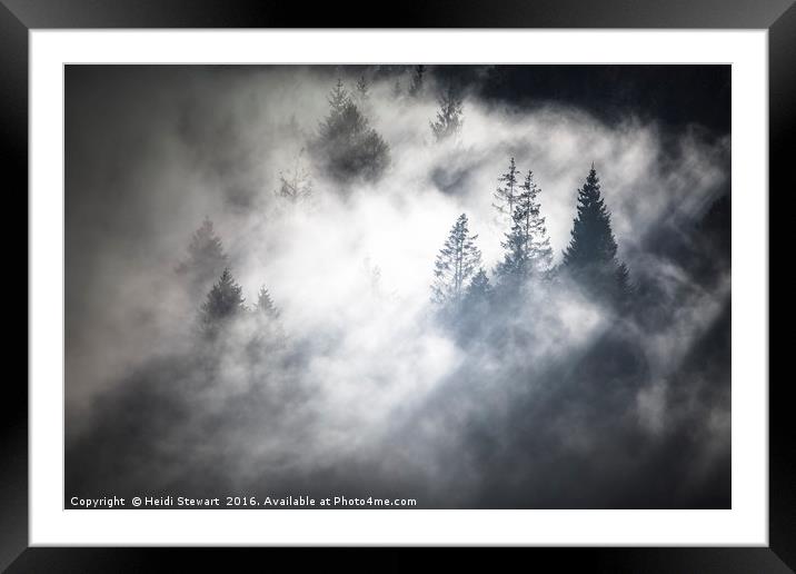 Trees in the Mist Framed Mounted Print by Heidi Stewart