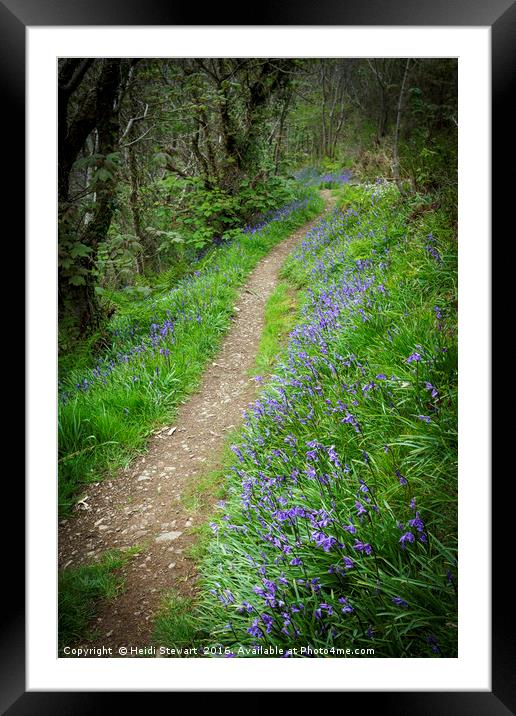 The Path through the Bluebells Framed Mounted Print by Heidi Stewart