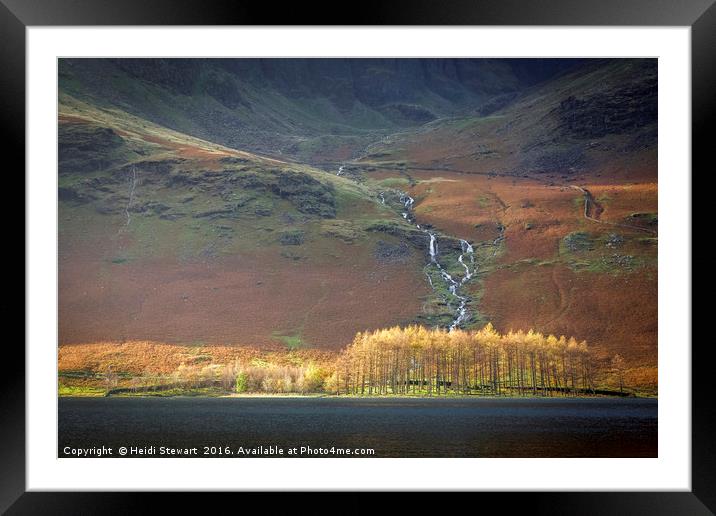 Larch Trees at Buttermere in the Lake District Framed Mounted Print by Heidi Stewart