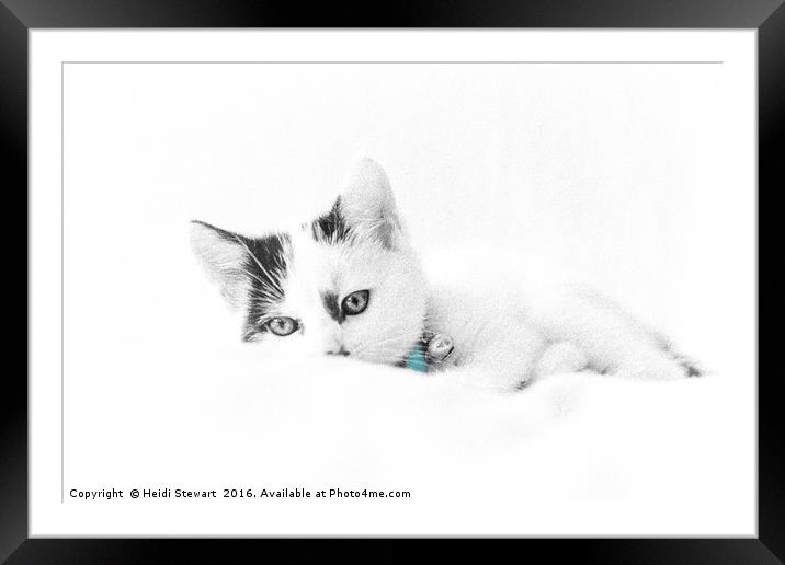 Kitten Cuteness Framed Mounted Print by Heidi Stewart