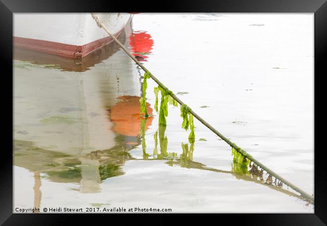Seaweed and Boat Reflected Framed Print by Heidi Stewart