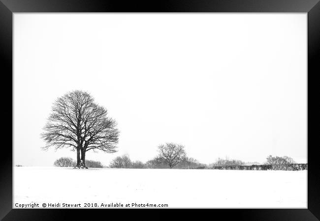 Trees in the Snow Framed Print by Heidi Stewart