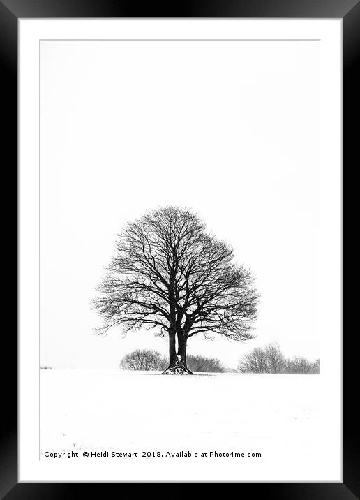 Solitary Tree in the Snow Framed Mounted Print by Heidi Stewart