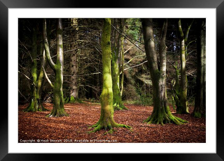 Into the Woods Framed Mounted Print by Heidi Stewart