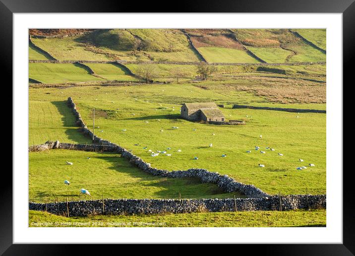 Rural Landscape, Littondale, Yorkshire Dales Framed Mounted Print by Heidi Stewart