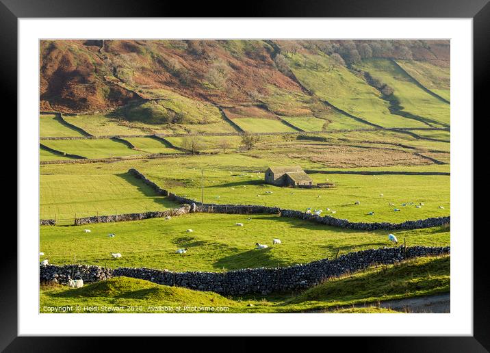 Rural Landscape, Littondale, Yorkshire Dales Framed Mounted Print by Heidi Stewart