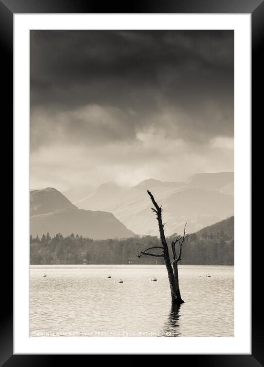 Skeletal Tree at Ullswater in the Lake District Framed Mounted Print by Heidi Stewart
