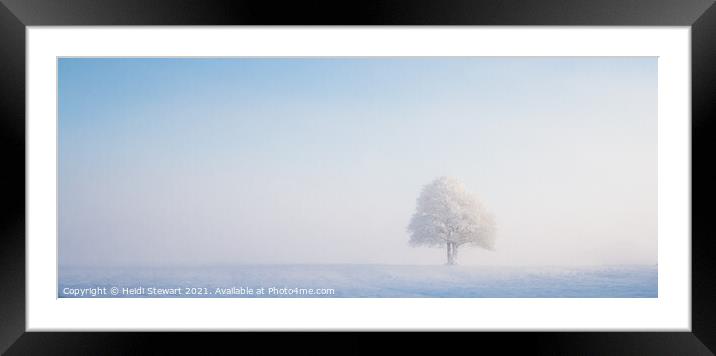 Solitary Tree in Snow Framed Mounted Print by Heidi Stewart