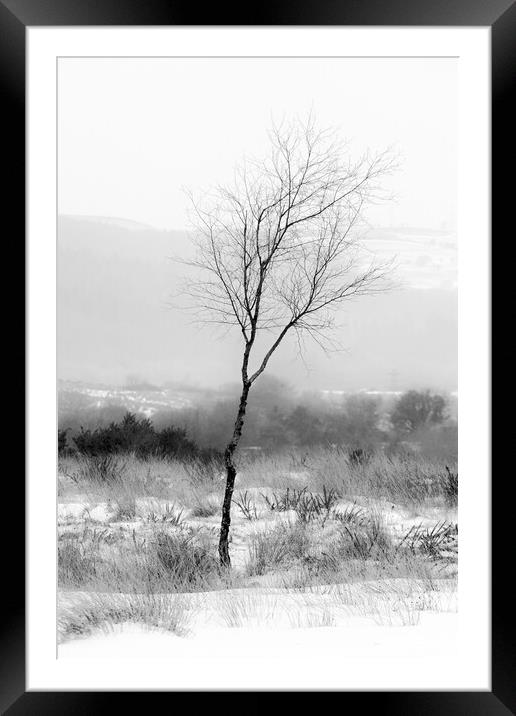 Winter Tree Framed Mounted Print by Heidi Stewart