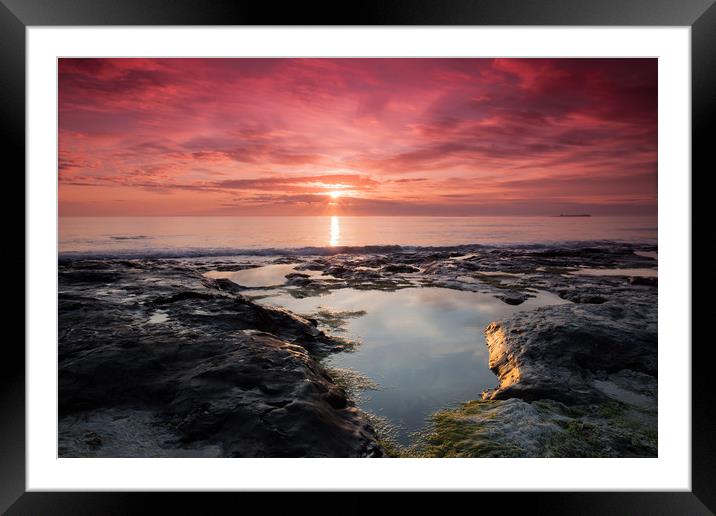 Sunrise over the Farne Isles Framed Mounted Print by Anthony Simpson