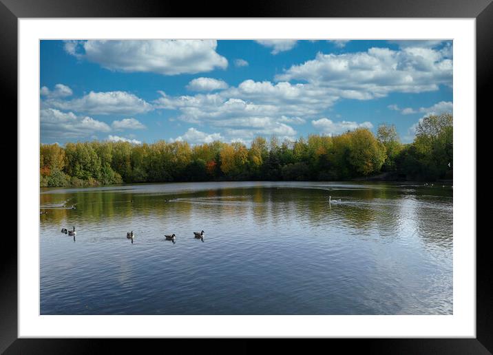 Middle Pool Framed Mounted Print by simon alun hark