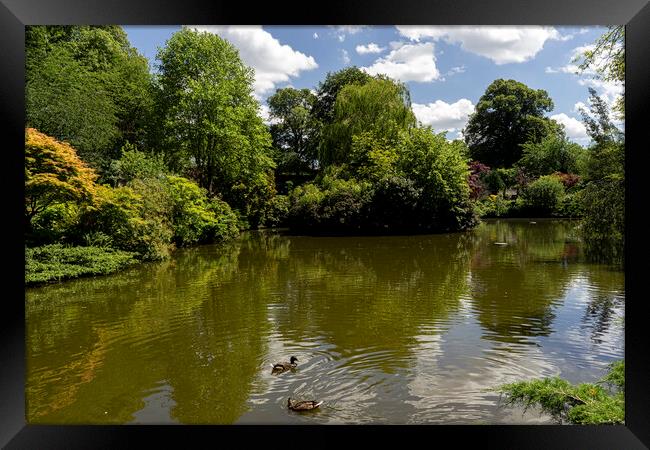 Shrewsbury Dingle Framed Print by simon alun hark