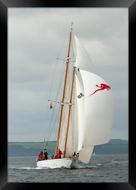 Spinnaker Run Framed Print by Matt Johnston