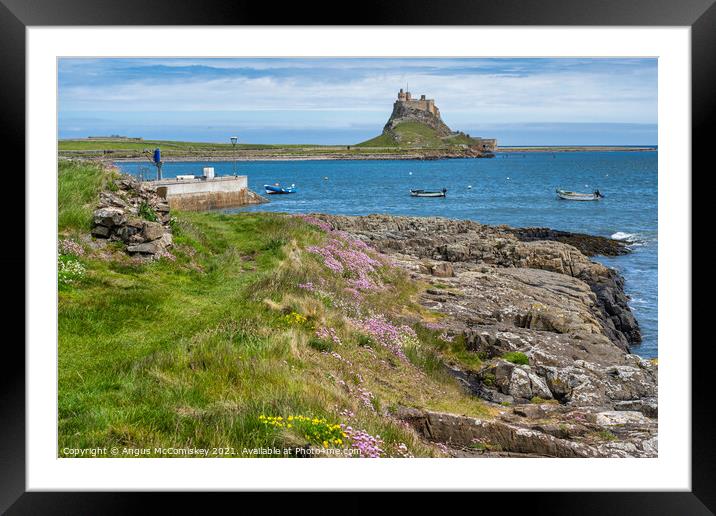 Wildflowers and sea cliffs, Holy Island Framed Mounted Print by Angus McComiskey