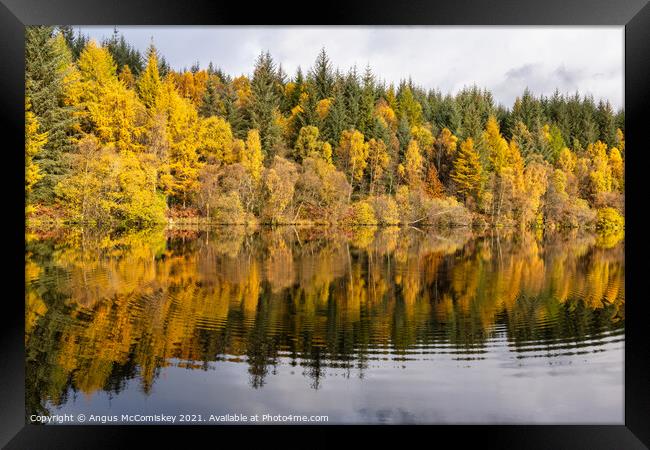 Lochan Spling autumn colours Framed Print by Angus McComiskey