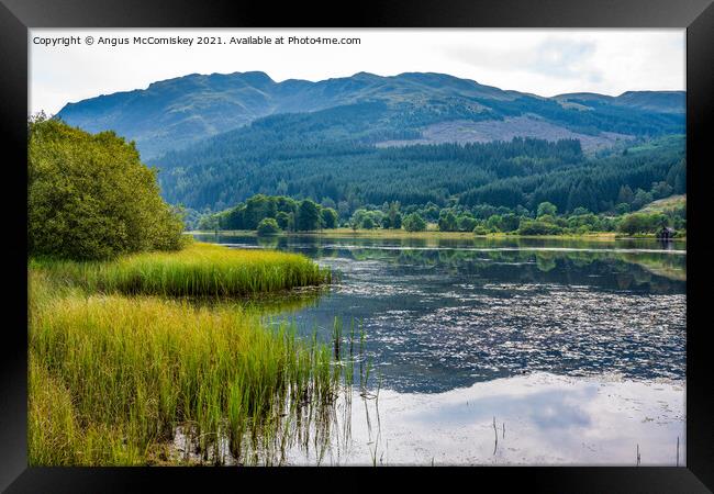 Loch Lubnaig reeds Framed Print by Angus McComiskey