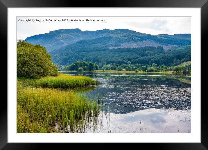 Loch Lubnaig reeds Framed Mounted Print by Angus McComiskey