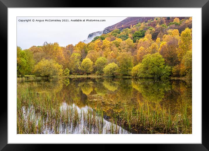 Autumn colours on forest park pond, Aberfoyle Framed Mounted Print by Angus McComiskey