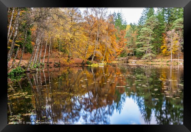 Autumn colours on Loch Dunmore, Faskally Forest Framed Print by Angus McComiskey