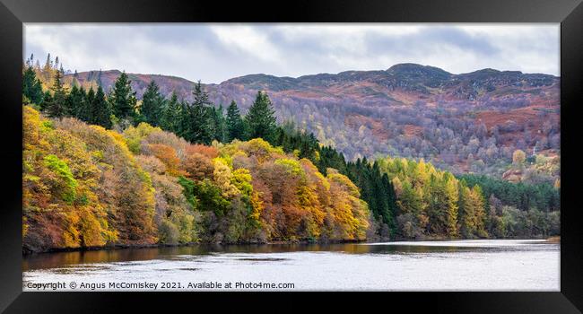 Panoramic view of autumn colours on Loch Faskally Framed Print by Angus McComiskey