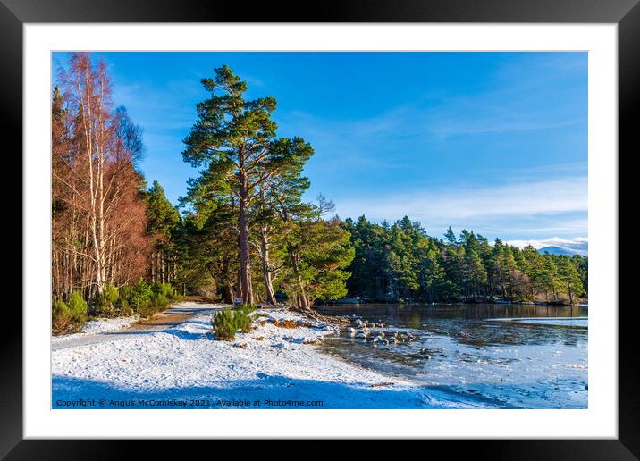 Loch an Eilein forest walk winter Framed Mounted Print by Angus McComiskey