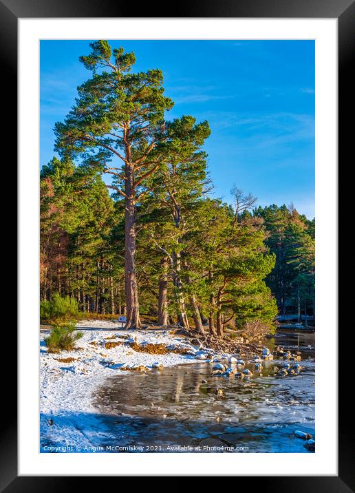 Loch an Eilein in winter Framed Mounted Print by Angus McComiskey