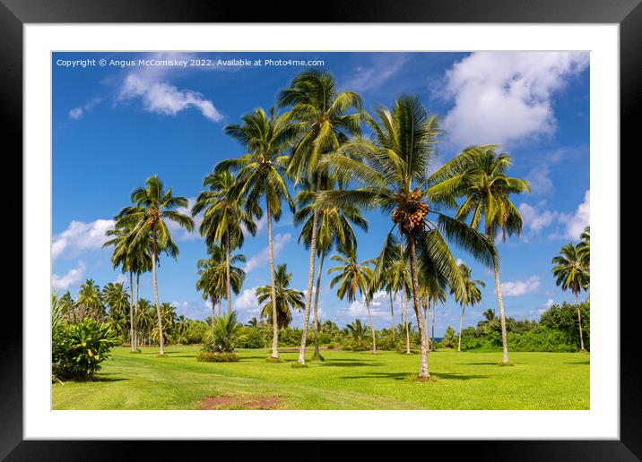 Palm trees in Kahanu Garden on Maui Island, Hawaii Framed Mounted Print by Angus McComiskey
