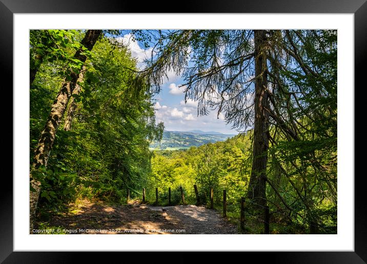 View from the top of The Birks of Aberfeldy Framed Mounted Print by Angus McComiskey