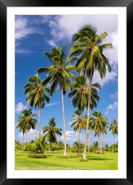 Coconut palms in Kahanu Garden on Maui, Hawaii Framed Mounted Print by Angus McComiskey