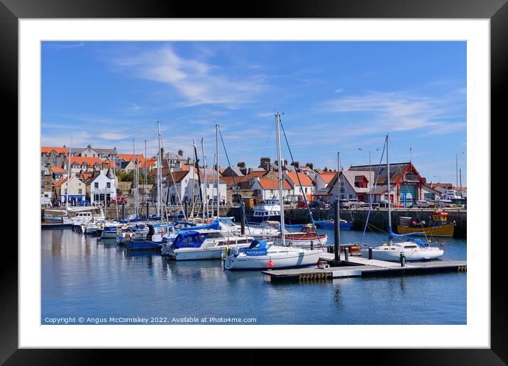 Boats moored in Anstruther marina, Fife Framed Mounted Print by Angus McComiskey