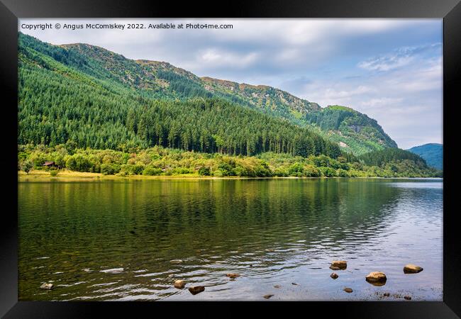 Pine forest Loch Lubnaig Trossachs Framed Print by Angus McComiskey