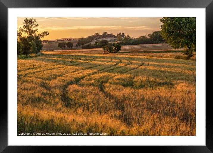 Golden Tuscan landscape at sunset Framed Mounted Print by Angus McComiskey