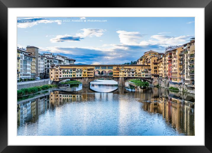 Ponte Vecchio at dawn, Florence, Tuscany Framed Mounted Print by Angus McComiskey