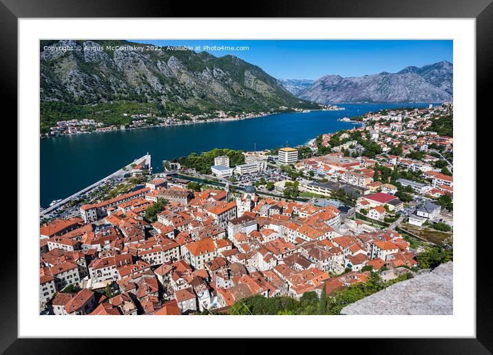 Aerial view of Kotor on Bay of Kotor in Montenegro Framed Mounted Print by Angus McComiskey