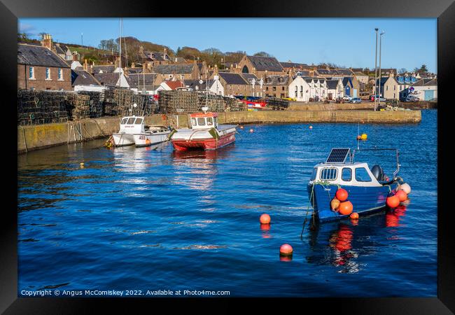 Fishing boats in Johnshaven harbour in Aberdeenshire, Scotland Framed Print by Angus McComiskey