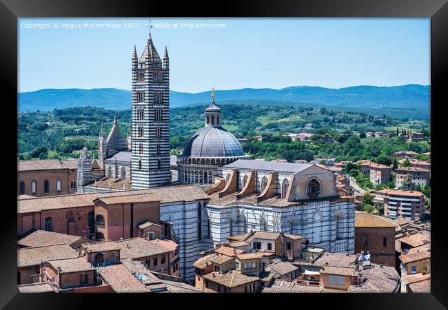 Aerial view of Duomo and Campanile, Siena, Tuscany Framed Print by Angus McComiskey