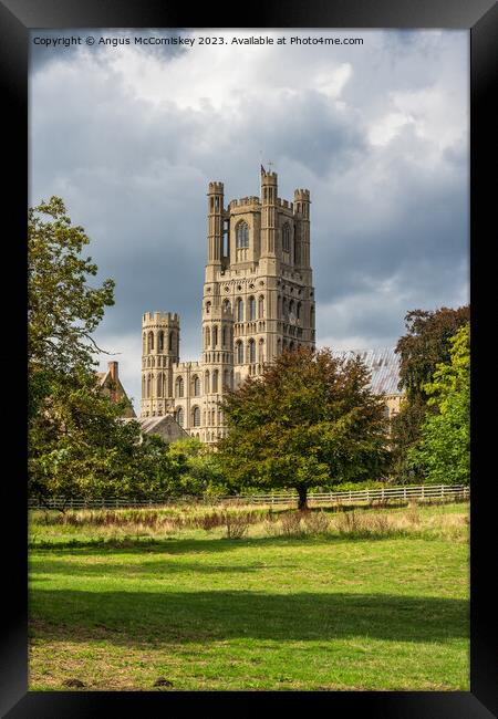Ely Cathedral from Cherry Hill Park Framed Print by Angus McComiskey