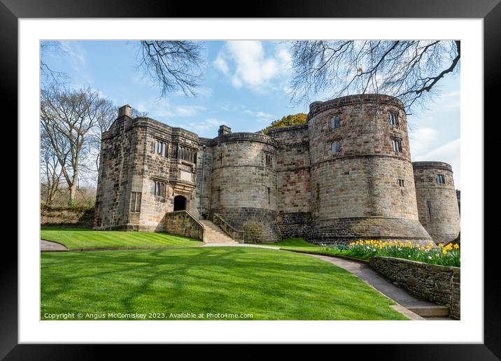 Spring flowers at Skipton Castle North Yorkshire Framed Mounted Print by Angus McComiskey