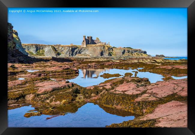 Tantallon Castle and rock pools, East Lothian Framed Print by Angus McComiskey
