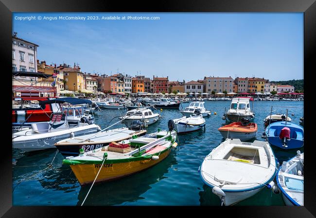 Boats moored in the Port of Rovinj in Croatia Framed Print by Angus McComiskey