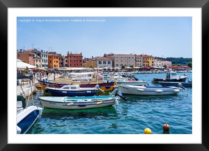 Boats moored in the Port of Rovinj in Croatia Framed Mounted Print by Angus McComiskey
