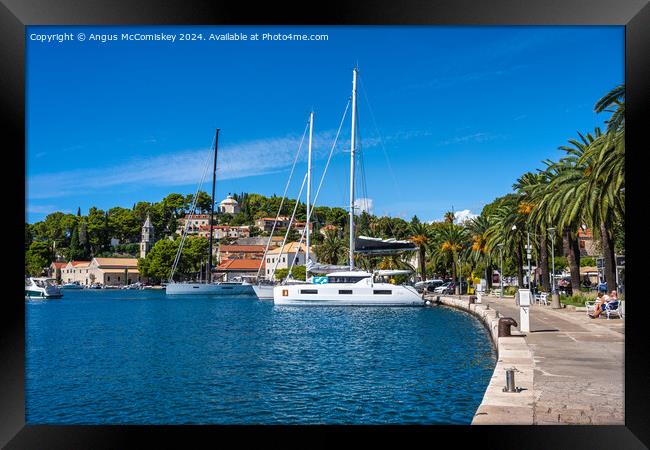 Palm-lined promenade at Cavtat in Croatia Framed Print by Angus McComiskey
