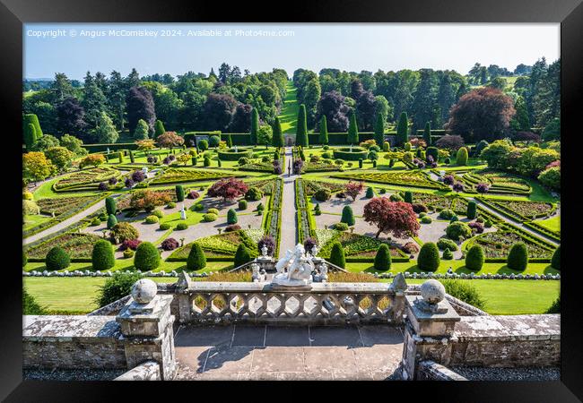 Drummond Castle Gardens, Perthshire, Scotland Framed Print by Angus McComiskey