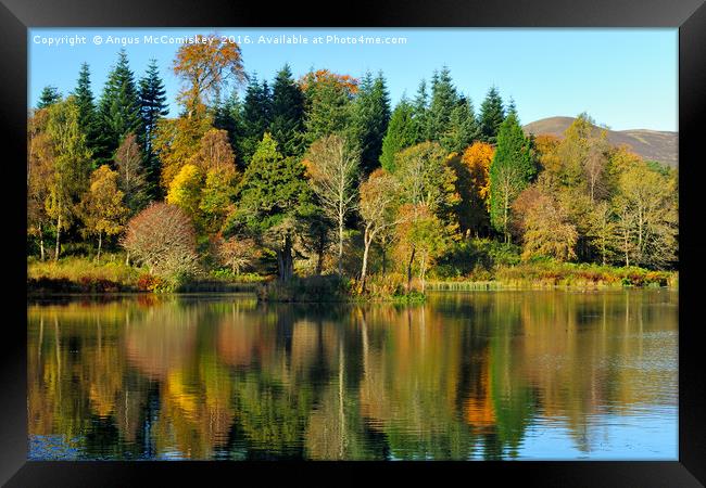 Autumn colours Penicuik Pond  Framed Print by Angus McComiskey