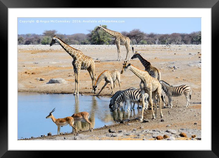 Early morning rush hour at the waterhole Framed Mounted Print by Angus McComiskey