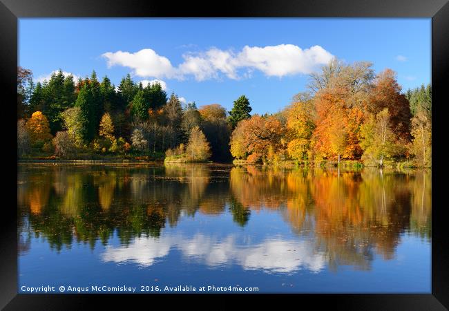Penicuik Pond in autumn Framed Print by Angus McComiskey
