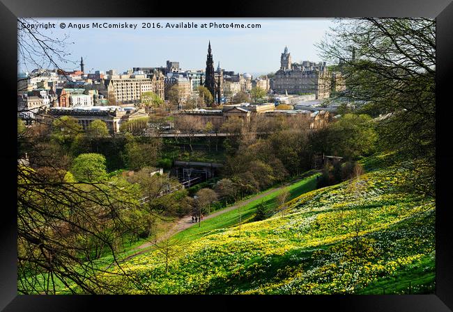 Edinburgh cityscape with daffodils Framed Print by Angus McComiskey