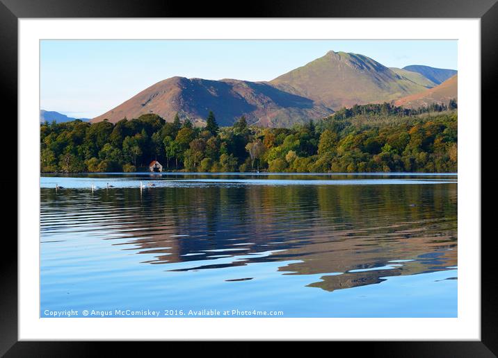 Derwentwater reflections with swans Framed Mounted Print by Angus McComiskey