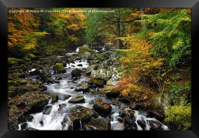 River Braan in autumn Framed Print by Angus McComiskey