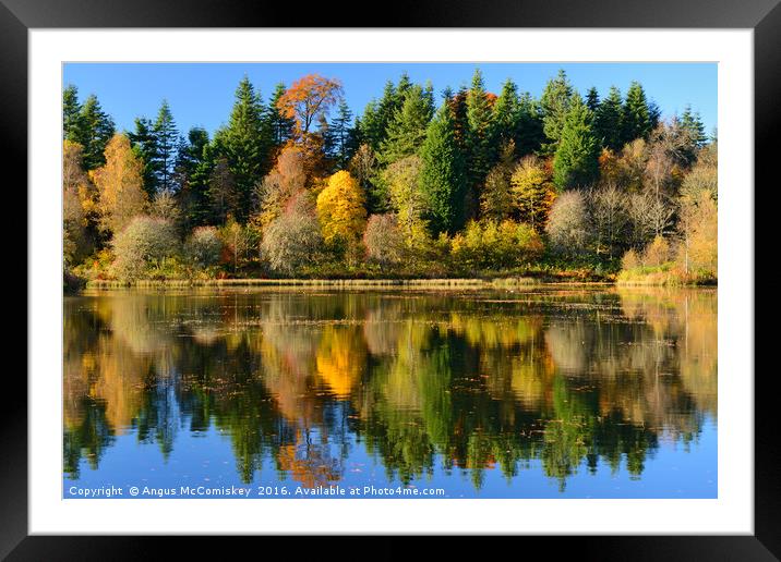 Autumn colours on Penicuik Pond Framed Mounted Print by Angus McComiskey